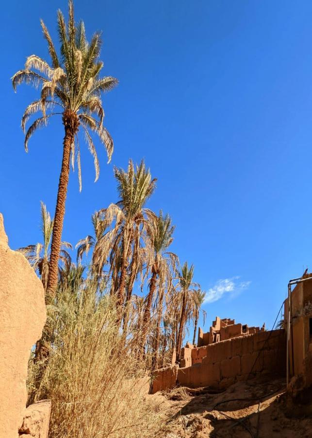 Riad Tagmadarte Ferme D'Hote Загора Екстериор снимка