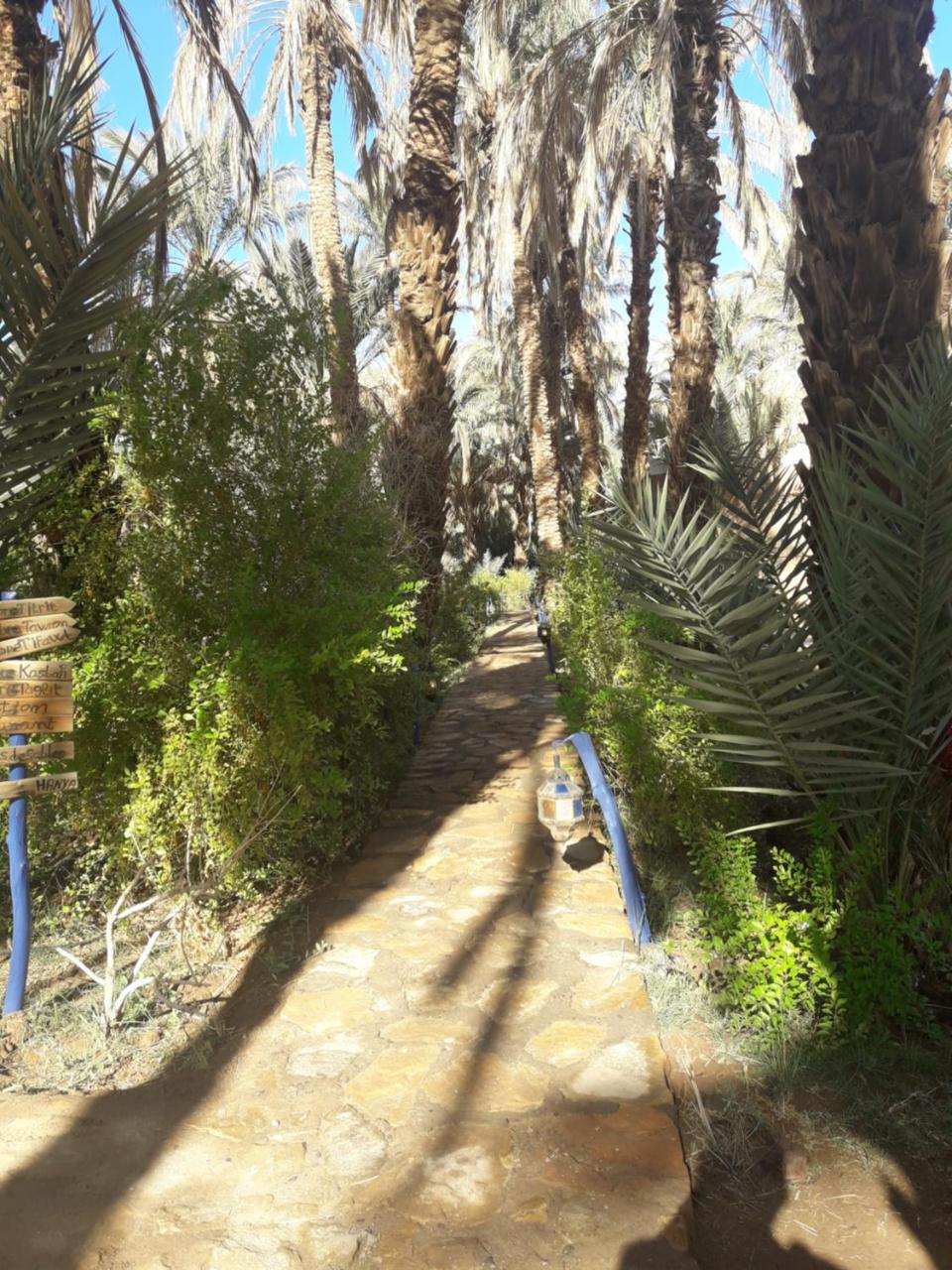 Riad Tagmadarte Ferme D'Hote Загора Екстериор снимка