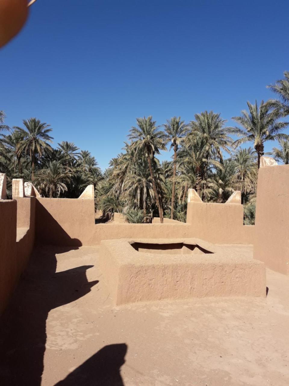 Riad Tagmadarte Ferme D'Hote Загора Екстериор снимка