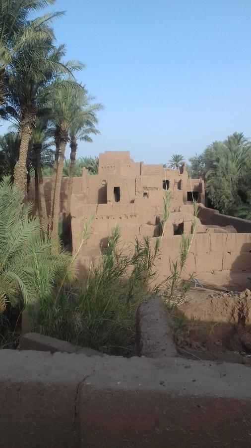 Riad Tagmadarte Ferme D'Hote Загора Екстериор снимка