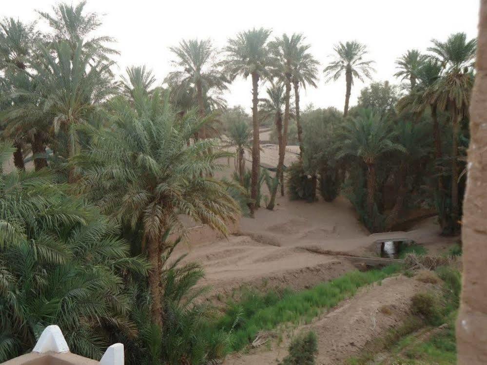 Riad Tagmadarte Ferme D'Hote Загора Екстериор снимка