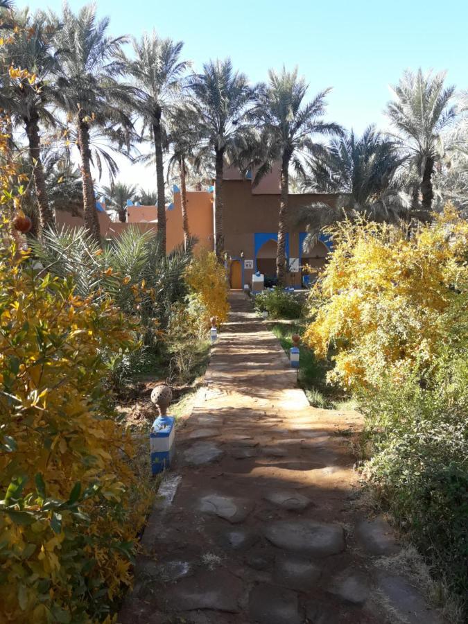 Riad Tagmadarte Ferme D'Hote Загора Екстериор снимка